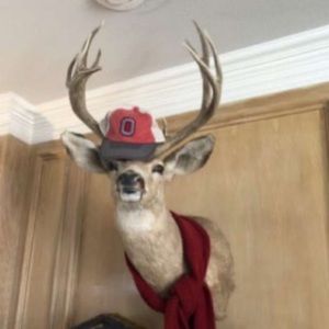 Meet your Posher, Kyle